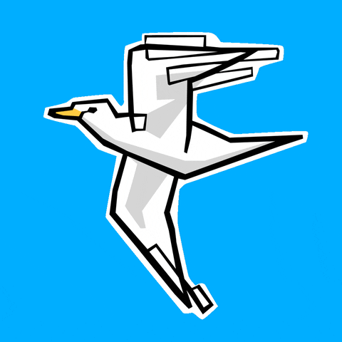 Bird Seagull GIF by Perfection Istanbul Agency