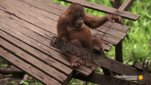 giphy.gif?cid=8fc3c897e4eac63fed39d3513d
