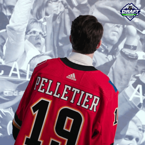 NHL GIF Find & Share on GIPHY