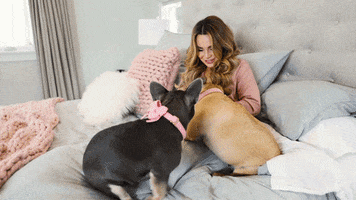 Youtube Laughing GIF by Rosanna Pansino