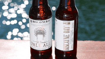 Stay Home Sea Life GIF by Biscayne Bay Brewing