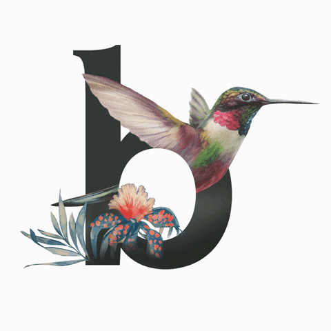 Bird Vegas GIF by Binske