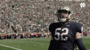 Notre Dame Nd GIF by Notre Dame Fighting Irish