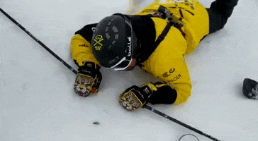 Ski Esqui GIF