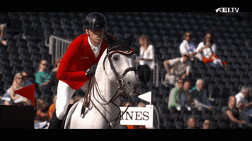 Jumping White Horse GIF by FEI Global