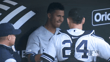 Gleyber Torres Hug GIF by New York Yankees
