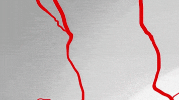 youtube lol GIF by Channel Frederator