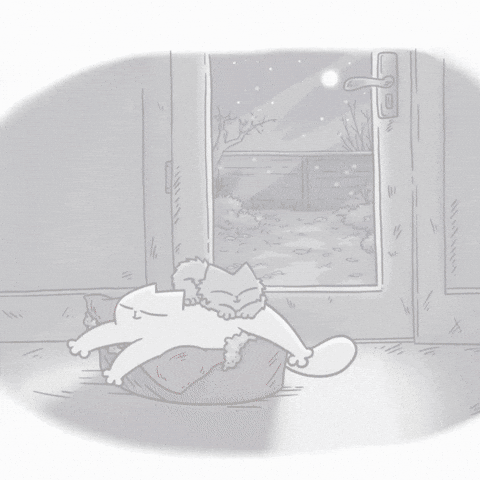 Funny Cat Lol GIF by Simon's Cat