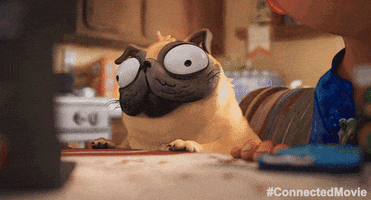 Confused Dog GIF by CONNECTED