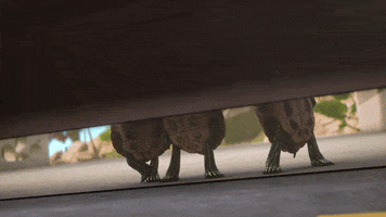 200.gif?cid=fc005b0895fcfaa45e7774d8118e10ae79fca6c42bb1a747&rid=200.gif&ct=g