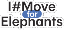 Elephant Sticker by PermataBank