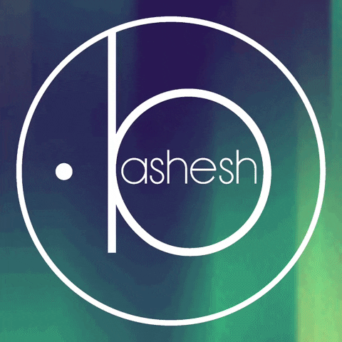 bashesh bashesh basheshofficial agencjaartystyczna GIF
