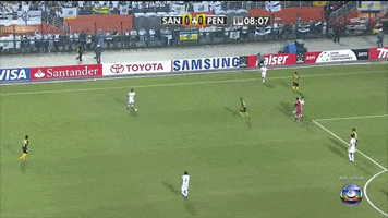 Santosfc GIF by Santos Futebol Clube