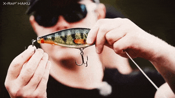 200.gif?cid=fc005b081d0bf79823e040c50eba25c6d04bbe53ed6242f2&rid=200.gif&ct=g