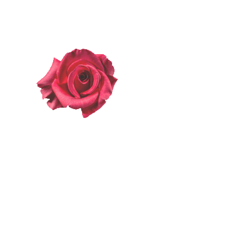 MoontowerMicroblading Sticker