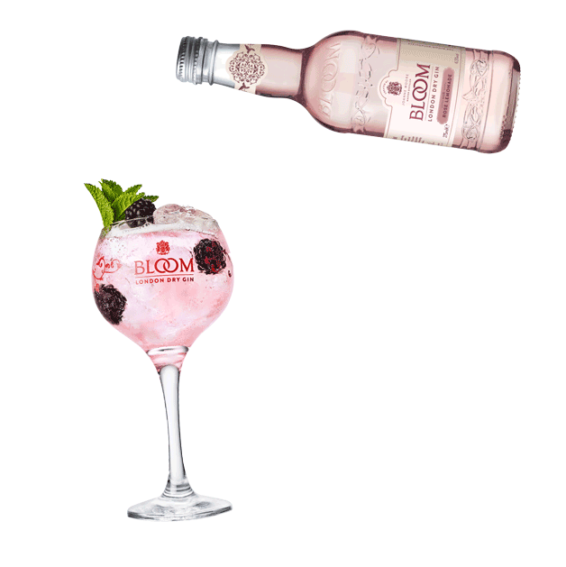 Gin And Tonic Festival Sticker by BLOOM Gin for iOS & Android GIPHY