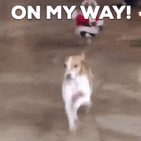 My Way Is My Decisio Gifs Get The Best Gif On Giphy