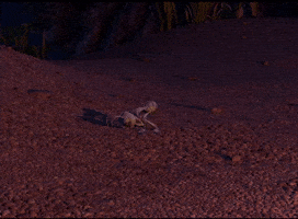 Struggling A Bugs Life GIF by Train Like A Gymnast