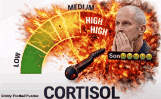 March Madness Michigan GIF by Griddy Football Puzzles