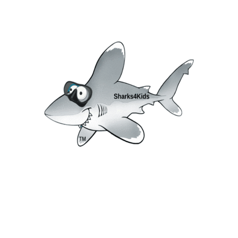 Sharks4Kids Sticker