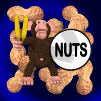 Monkey Peanuts GIF Monkey Peanuts GIF