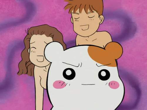 BARA GIF bara gif