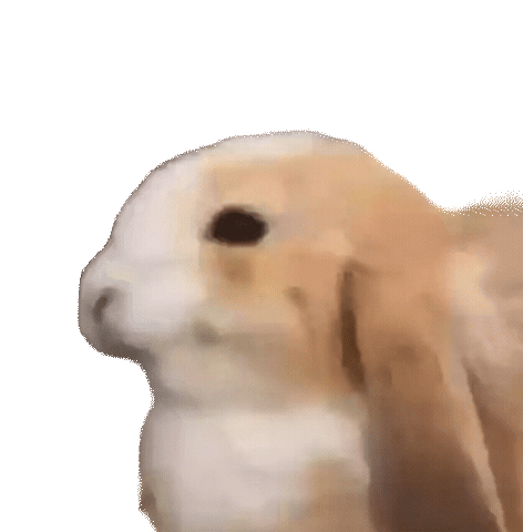 Bunny Cutebunny Sticker