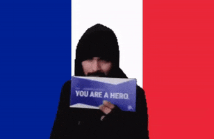 Here You Go France GIF by ElrondNetwork