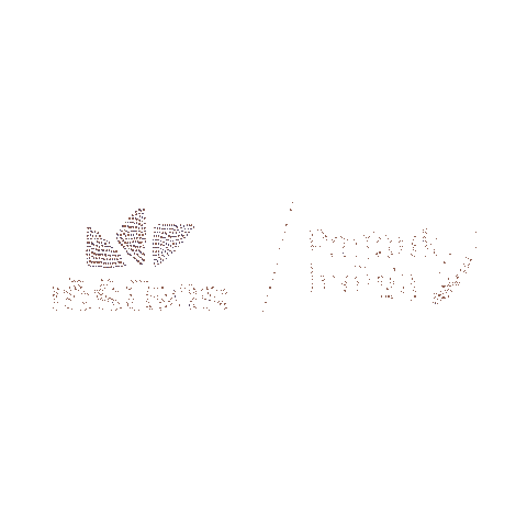 Lnk Issukis Sticker by LNK TV