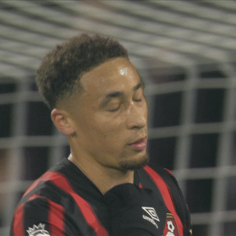 Disappointed Premier League GIF by AFC Bournemouth