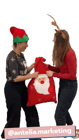 The Grinch Christmas Sticker by AnteliaMarketing