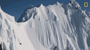 Nat Geo Sport GIF by National Geographic Channel