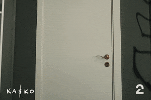 Door Baseball Bat GIF by tv2norge