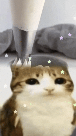 Meowl GIF