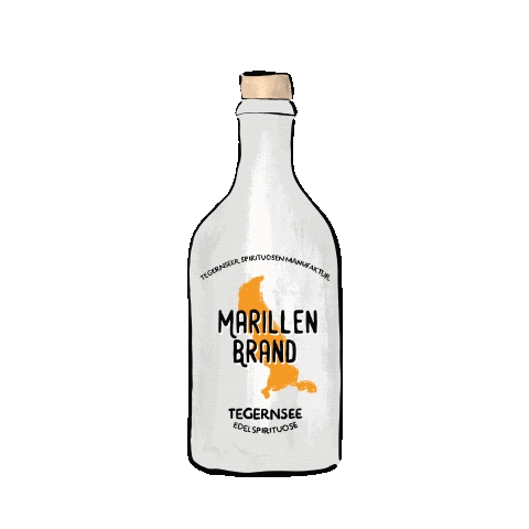 Instagram Celebrate Sticker by GinLago