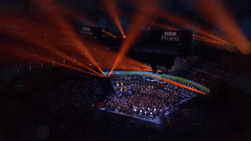 The National Youth Orchestra GIF