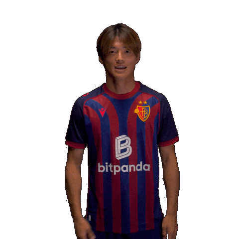 Football Soccer Sticker by FC Basel 1893