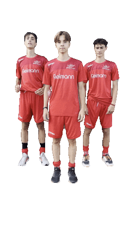 Happy Sport Sticker by Swiss Hockey