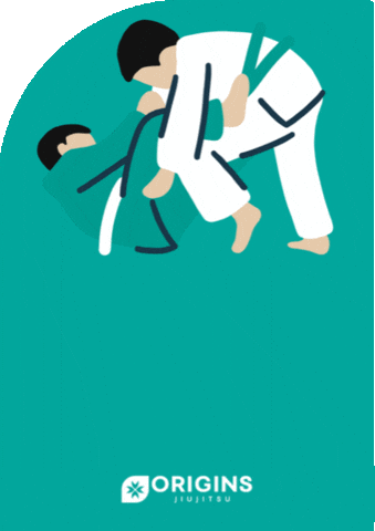 GIF by Origins Martial Arts