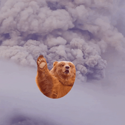 Bear GIF