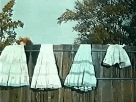 Petticoat Junction Vintage GIF