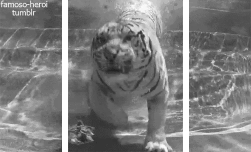 24 «τρισδιάστατα» GIFs που νομίζεις ότι θα βγουν από την οθόνη σου 9 3d split depth split depth gifs splitdepth GIF