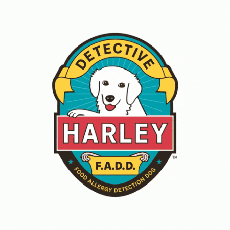 Kids Dogs GIF by Detective Harley, F.A.D.D.