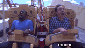 jimmy fallon television GIF