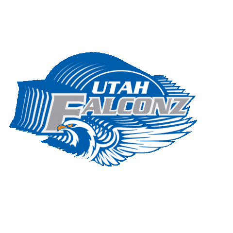 Womens Football Falcon Sticker by Women's National Football Conference