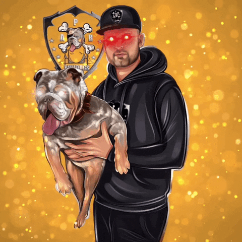 APB Bulldogs GIF