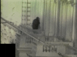 joris1944  GIF