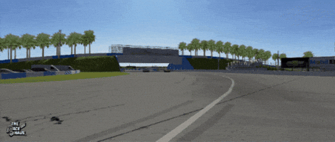 The Race Haus GIF