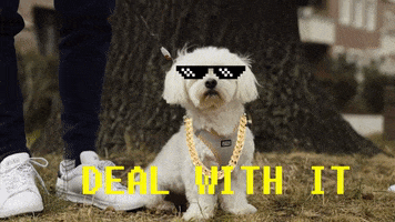 Dog Deal With It GIF by G2 Esports