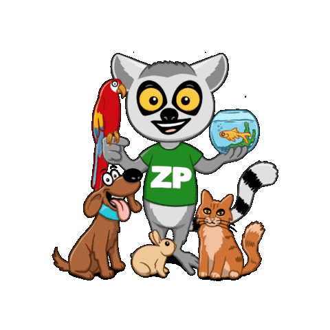 Zipi Sticker